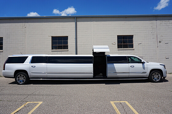 20 Passengers Limo